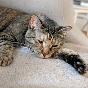 Meet your Posher, Courtney